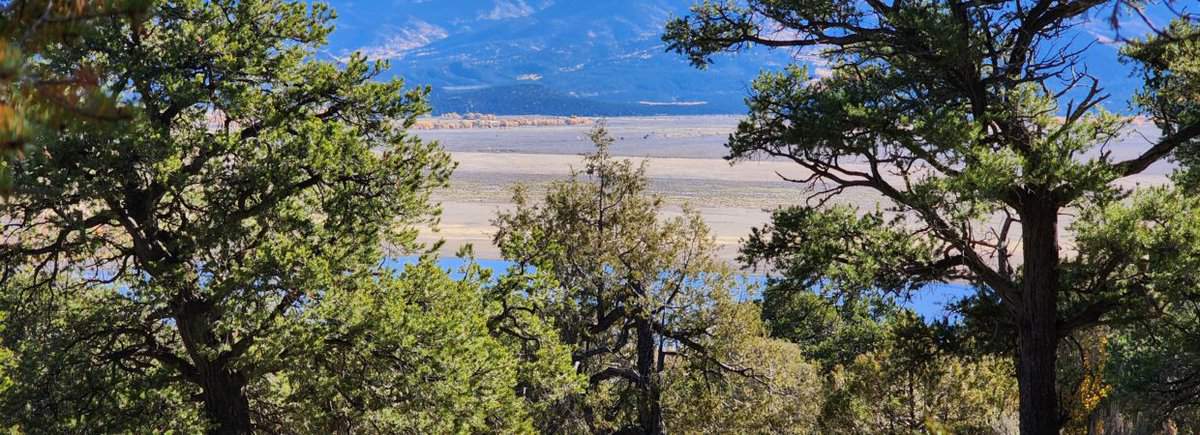 Lake View – Wild Hoses – Paradise! 1 acre Lot -Treed – Amazing views – Easy Road Access – Electric capabilities – Southern Colorado – Wild Horse Mesa.