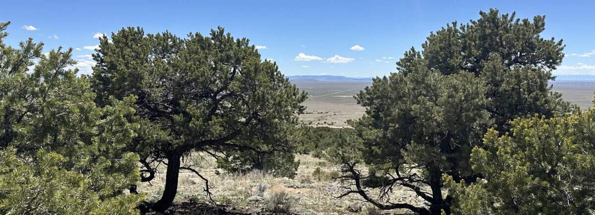 Mountain Views in all directions – 5.0 acres with plenty of Trees for Privacy – Close to the Great Sand Dunes National Park, Mt. Blanca & Como lake! Great for camping, RVing, or for building a small home – Alamosa County-Southern Colorado. Cash & Financing available!