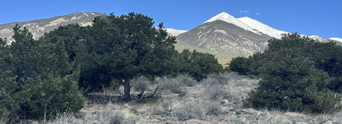 Beautiful Corner Lot – 5.0 acres with tons of Trees for Privacy – Get ready to camp, hike or just relax and enjoy the mountainous view – Located in Alamosa County north of Blanca (~20 min) -Southern Colorado. Cash & Financing available!