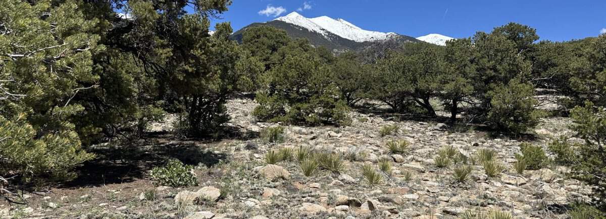 Sweeping mountain views in all directions – 5.0 acres with SHED! – Plenty of Trees for Privacy – Close to the Great Sand Dunes National Park, Mt. Blanca & Como lake! Get ready for camping, build a nice cabin – Alamosa County-Southern Colorado. Cash & Financing available!