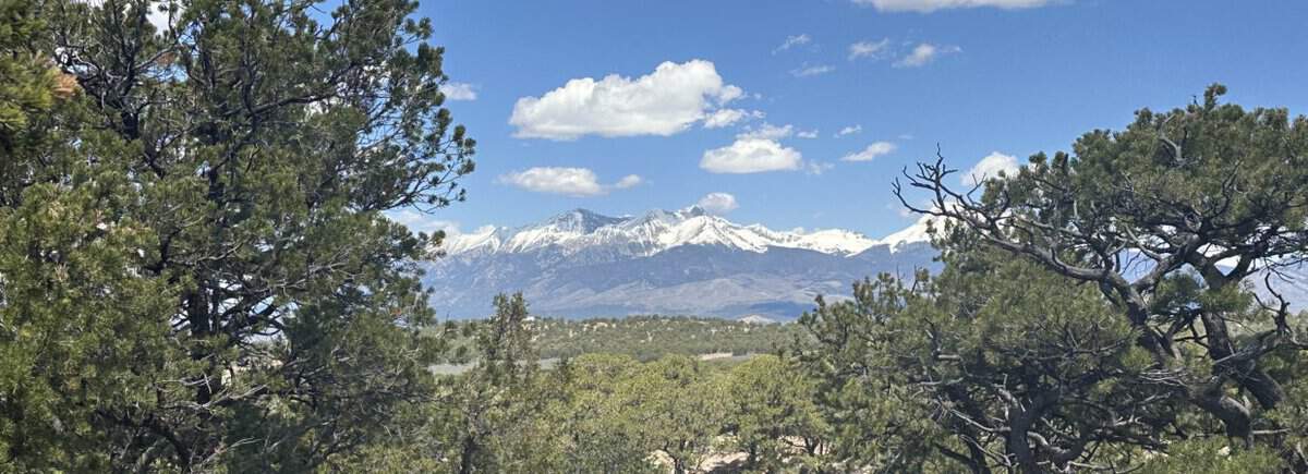 5.0 acres of amazing Views – In a Great Location – Plenty of Trees – Close to Ft. Garland, the Great Sand Dunes National Park, Mt.Blanca & Como Lake! Camp, hike, Rv, build, explore! Electric – Easy Road Access – Costilla County Colorado. Cash/ Financing available!