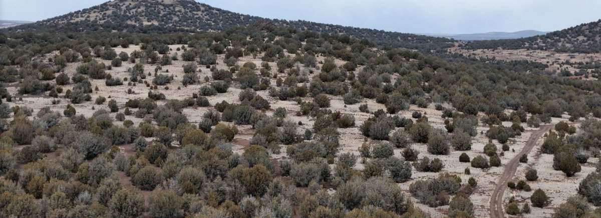 Surround yourself with endless views between Pinon and Juniper trees! A beautiful 1.16 acre remote property, away from the everyday stress. Camp & RV in this great location! Great Cash Price – Financing Available!